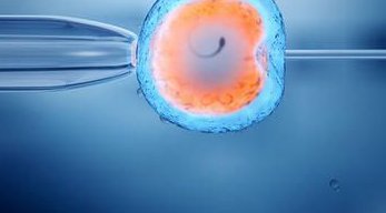 品质与实惠并存：泰国第三代试管婴儿优点和缺点全了解！