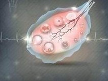 海口市妇幼保健院试管婴儿费用分享，看懂流程少花钱