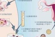 云南私立医院试管婴儿成功率分析，2026来这怀孕就对了
