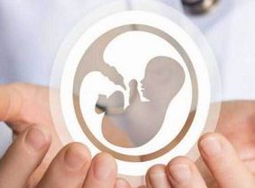 子宫内膜薄还能做试管婴儿吗