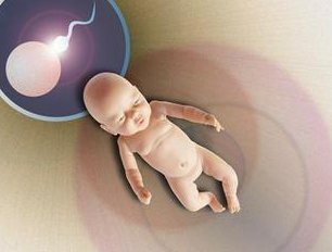 现在山东试管婴儿有补助吗（山东试管婴儿费用大约多少）