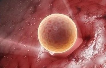 详细解读绍兴市做长方案试管婴儿费用，长方案和短方案成功率有差别吗？