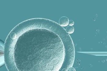 医疗指南：探索泰国三代试管医院的专业之选